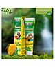 Bentodent Junior Earthy Natural Kids Toothpaste - 100 gm