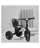 Dash Raptor Tricycle with Unique Design & Backrest Support with  Sturdy Wheel - Black