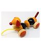 A&A Kreative Box Wooden Pull Along Elastic Dog Toy (Color May Vary)