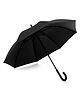 Absorbia Double Layer Folding Portable Umbrella - Black