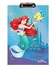 Disney Princess Ariel the Mermaid Exam Board - Blue