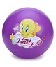 Tweety Beach Ball Print Purple - 59 cm