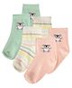 Mi Arcus Pack Of 3 Pair Rainbow Stripe & Bear Design Socks - Multi Colour