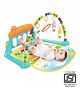 Planet of Toys Musical Keyboard Mat Piano Gym Mat Gym & Fitness Rack- ( Colour may vary )