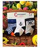 Footprints Pack Of 3 Pairs Striped Anchor & Pirate Design Supersoft Organic Cotton & Bamboo Woven Unisex Socks - Multi Color