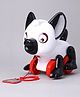 United Agencies Pull Along Benny Dog - Black White