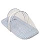Mi Arcus Soft Printed Foldable Mattress Set with Attached Mosquito Net and Head Support Pillow for Comfortable Sleep, 0-12 Months, 102x54 cm - Blue