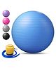 REZNOR Gym Ball with Pump (Color May Vary)