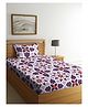 Arrabbi Single Bed Cotton Bedsheet and Pillow Cover - Multicolour 