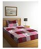 Arrabbi Single Bed Cotton Bedsheet and Pillow Cover - Multicolour 