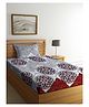 Arrabbi Single Bed Cotton Bedsheet and Pillow Cover - Grey