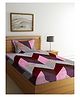 Arrabi Single Bed Cotton Blend Single Bedsheet and Pillow Cover - Multi