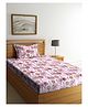 Arrabi Single Bed 100% Cotton Single Bedsheet and Pillow Cover - Multi