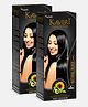 Kaveri Crème Hair Color Professional Grade Ammonia Free Hair Color Natural Black Pack of 2- 90ml