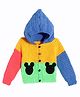 MayRa Knits Woollen Hand Knitted Full Sleeves Colorblocked Hooded Sweater - Yellow