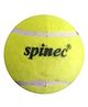 Spinec Cricket Tennis Balls Light - Green