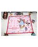 New Comers Milestone Multipurpose Blanket and Props Set - Pink Orange
