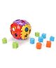 Ratnas Shape Sorter Ball Multi Color - 24 Pieces