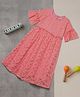 Zion Half Bell Sleeves Layered Lace  Embellished & Ruffle Detailed Fit & Flare Dress - Pink