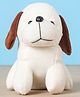 Playtoons Puppy Soft Toy Grey White (Colour May Vary) - Height 15 cm