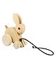 Smartcraft Wooden Pull Along Bunny Rabbit - Brown