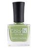 Color Fx New York Perfect Pastel Nail Polish Long lasting Glossy Finish 21 toxin free Non-yellowing 9 ml Lime Green-163