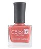 Color Fx New York Perfect Pastel Nail Polish Long lasting Glossy Finish 21 toxin free Non-yellowing 9 ml Burnt Orange-165
