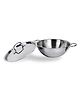 USHA SHRIRAM Triply Stainless Steel Kadai with Lid - Silver
