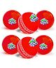Jaspo Soft T-20 Plus Practice Cricket Ball Pack of 6 - Red