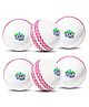 Jaspo Soft T-20 Plus Practice Cricket Ball Pack of 6 - White