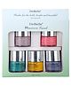 DeBelle Nail Lacquer Macaroon Squad Set of 5 Vintage Frost, Bebe Kiss Tahiti Teal Caramelo Yellow Blueberry Bliss - 8 ml each