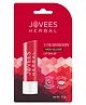 Jovees Herbal Strawberry High Gloss Lip Balm For Soft, Glossy And Supple Lips  24 Hour Hydration  Rejuvenates Dark, Pigmented, Dry, Chapped And Discoloration Lips- 5g