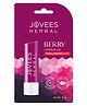 Jovees Herbal Berry Lip Balm with Hyaluronic Acid  24 Hour Hydration  Rejuvenates Dry and Chapped Lips  Gives Soft & Supple Lips 5g