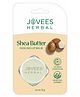 Jovees Herbal Shea Butter Healing Lip Balm  24 Hour Hydration  Heals Dry And Flaky Lips  Gives Soft And Supple Lips , Off White-8g