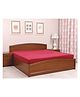 Tidy Sleep Water Resistant Premium Terry Cotton Mattress Protector - Maroon
