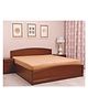 TIDY SLEEP Water Resistant Premium Terry Cotton Mattress Protector King Size - Beige