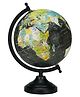 Globeskart Designer Antique Black Multicolor
