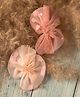 Jewelz Beautiful Net Clips Pack Of 3 - Pink & Peach