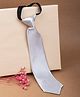 Arendelle Solid Satin Tie - Silver