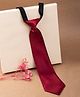Arendelle Solid Satin Tie - Maroon