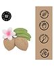 Oli & Carol Natural Rubber Teether for baby- Soft & Chewable -Aly The Almond