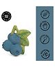 Oli & Carol Natural Rubber Teether for baby- Soft & Chewable Fruit Teether-Jerry the Blueberry