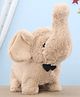 Aarohi Toys Musical Poochie Elle Elephant (Color May Vary)