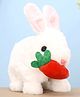 Aarohi Toys Musical Poochie Rabbit - Height 15 cm (Color May Vary)