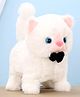Aarohi Toys Musical Poochie Cat - Length 15 cm (Color May Vary)