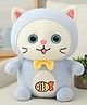Little Hunk Kitty Cat Plush Toy Blue - Height 25 cm (Colour may vary )