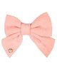 Knotty Ribbons Star Applique Bow Alligator Hair Clip - Peach