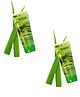 RICHFEEL Pure Aloe Vera Gel Pack of 2 - 100 ml each