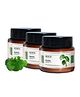 RICHFEEL Brahmi Hair Pack Pack of 3 - 500 g each
