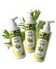 Richfeel Lemon Grass & Tea Tree Body Wash- 200 ML Pack of 3